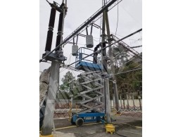 ?百龍灘電廠絕緣子檢測
